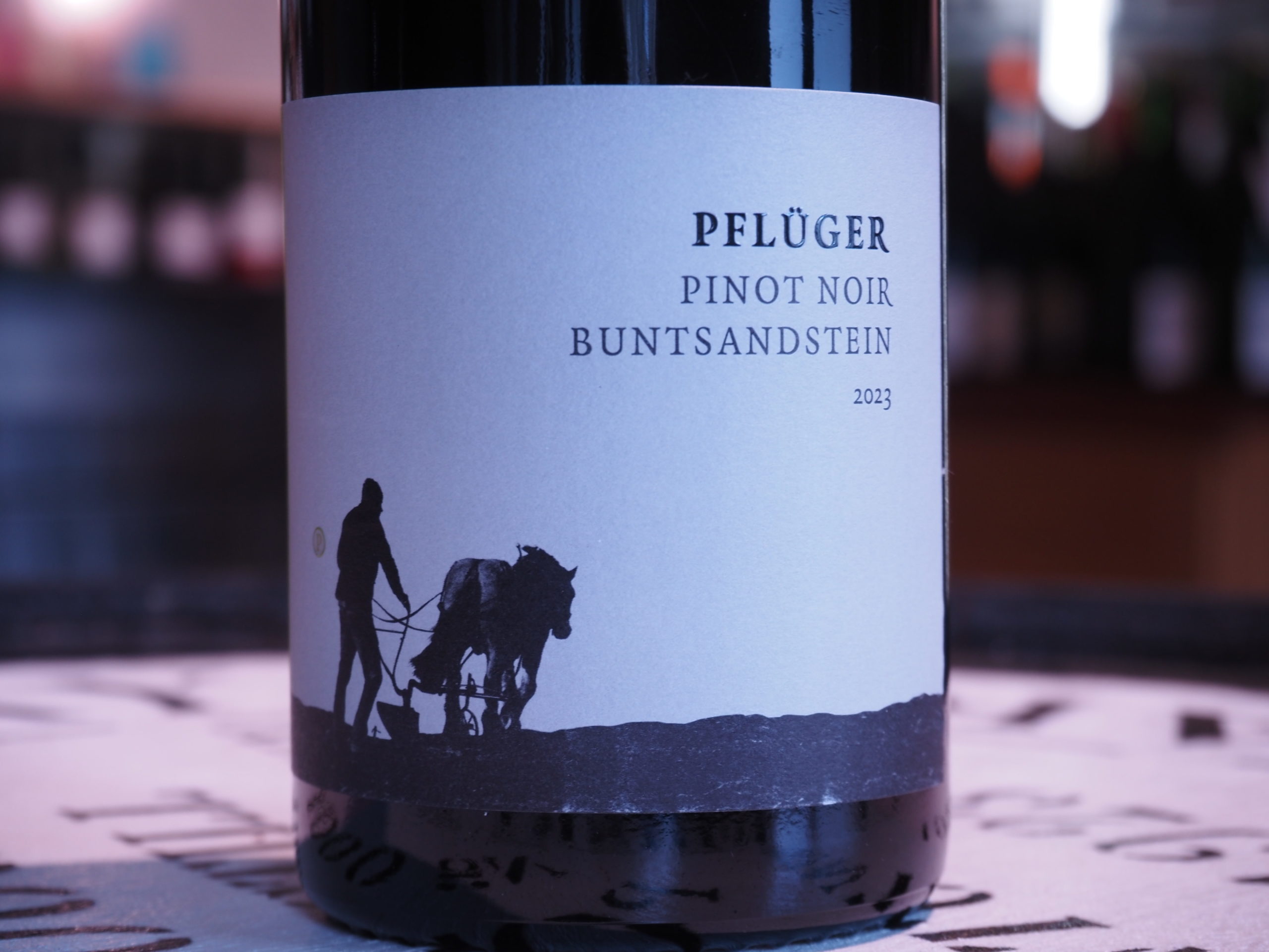 ピノ・ノワール フォム ブントサントシュタイン トロッケン　2023