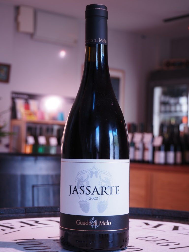 ヤッサルテ　2019