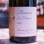 ムルソーナルヴォーギィ・ボカール　2023