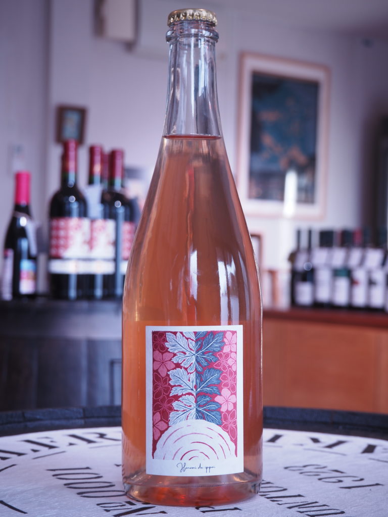 花見で一杯 2024