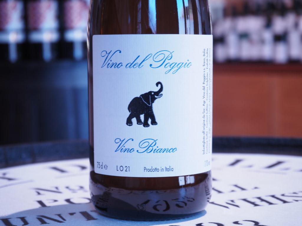 ポッジョ・ビアンコ オルトゥルーゴ 2021