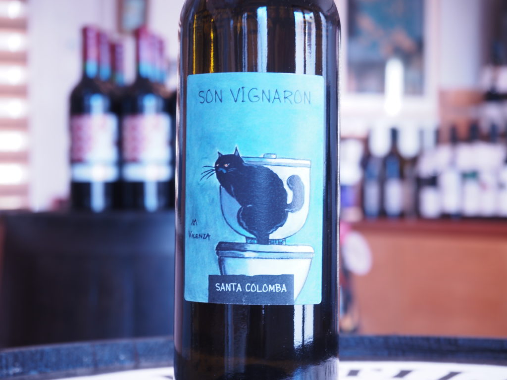 リン・ヴィニャロン 2024